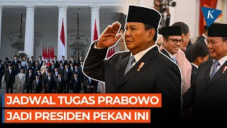 Agenda Prabowo Pekan Ini Sidang Kabinet Paripurna Perdana Kumpulkan Menteri [upl. by Lamhaj61]