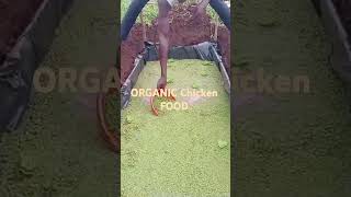 ⏩ORGANIC CHICKEN FOODchicken shortvideofoodvillagelife [upl. by Frans]