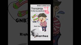 Yersinia Enterocolitica Signs Symptoms Investigation amp Treatment Explained shorts [upl. by Ttehr]