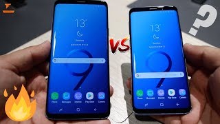 Samsung Galaxy S9 Vs Galaxy S9  The Main Differences [upl. by Laufer800]