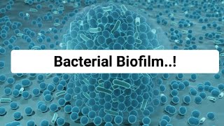 Bacterial Biofilm [upl. by Adnovad]