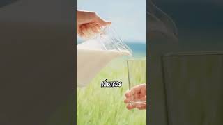 🌶️ El Agua No Alivia el Picante 🚫💧 datoscuriosos sabiasque curiosidades [upl. by Herby666]