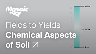 Fields to Yields  Chemical Aspects of Soil [upl. by Inamik695]