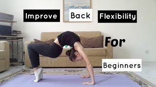 Improve your back flexibility for beginners [upl. by Cacia]