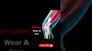 Synovial Joints  biology tricks shorts biology facts [upl. by Zanlog314]