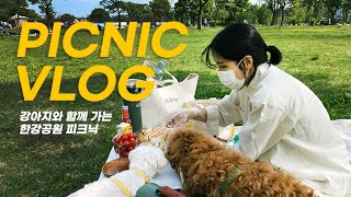 소풍가기 좋은 날 강아지와 함께 한강 피크닉 고고띵🐶🧺🍃 [upl. by Evvy137]