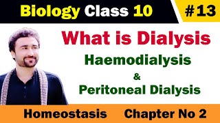 What is dialysis class 10  haemodialysis and peritoneal dialysis [upl. by Delia]