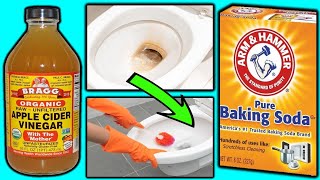 5 Minute Cleaning DIY Toilet Bowl Hack  Using Vinegar amp Baking Soda [upl. by Rodama276]