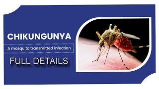 Chikungunya Full Details Causes Symptoms Prevention [upl. by Haidebez]