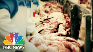 Inside Meat Processing Plant Linked To Nearly 900 Coronavirus Cases  NBC Nightly News [upl. by Torras784]