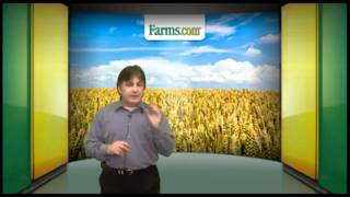 Farmscom Market School How Grain Prices Are Determined [upl. by Juliane794]