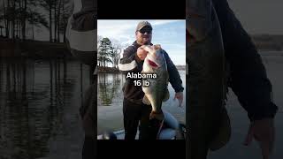 Biggest bass in every state pt 1 [upl. by Schechter]