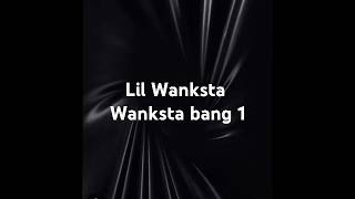 Lil Wanksta  WankstabangPartie 1 [upl. by Eirek]