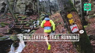 Should you try the Müllerthal Trail [upl. by Nefets749]