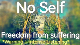 No Self  Freedom from Suffering [upl. by Nnylarej]