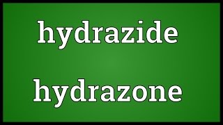 Hydrazide hydrazone Meaning [upl. by Leeth104]