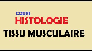 cours HISTOLOGIE Ep3  Tissu musculaire [upl. by Novla]