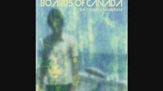 Boards of Canada  Tears From The Compound Eye [upl. by Lynelle829]