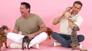 Ryan Reynolds and Hugh Jackman The Puppy Interview [upl. by Attelrahs]