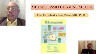 METABOLISMO DE AMINOÁCIDOS [upl. by Vernor]