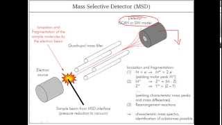 Gas chromatography detectors [upl. by Micheil]