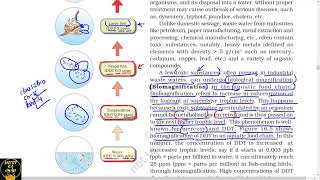 Part 4 Biomagnification and EutrophicationNcert class 12th biology [upl. by Herzen344]