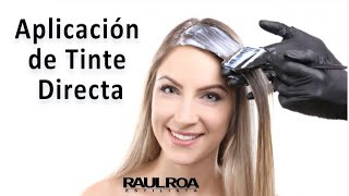 Aplicación de Tinte Directa RAUL ROA ESTILISTA [upl. by Pepito]