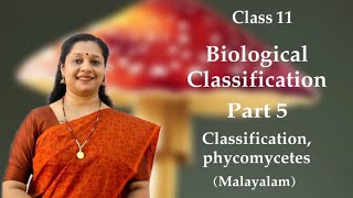 NEET Kingdom Fungi  Classification Phycomycetes മലയാളം [upl. by Ynnam]