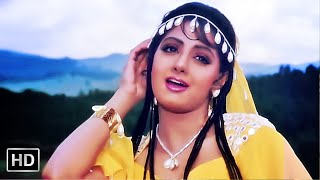 तेरी बंजारन रास्ता देखे  Teri Banjaran Rasta Dekhe  Sridevi  Alka Yagnik  Banjaran 1991 [upl. by Jilly916]