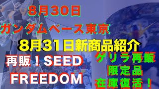 【ガンプラ再販】8月納品予定再販 機動戦士ガンダムSEED FREEDOM ビルドシリーズ他ゲリラ再販30MM 30MS再販2024年8月30ガンダムベース東京8月31日新商品紹介！ [upl. by Brigitta]