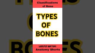 Classifications of Bones General Anatomy biology mbbs neetpg neet shorts [upl. by Campman382]