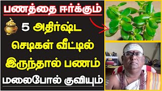 பணத்தை ஈர்க்கும் 5 அதிர்ஷ்ட செடிகள் வீட்டில் இருந்தால் பணம் மலைபோல் குவியும்  lucky plants tamil [upl. by Kipper]