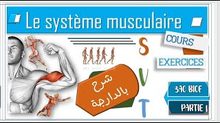 SVT ❤Le système musculaire ❤شرح بالدارجة ❤  partie 1  3AC❤ [upl. by Mochun]