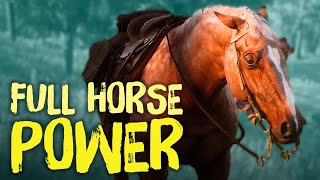 Red Dead Redemption 2 Horses  Everything You Need To Know [upl. by Okajima119]