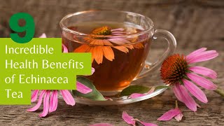 9 Incredible Health Benefits of Echinacea Tea You Didnt Know About [upl. by Kcirddet]