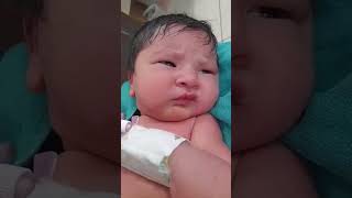 Icu care new born chubby girl nicu baby cute pregnancy delivery [upl. by Criswell213]