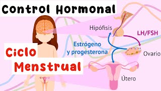 Fecundación y desarrollo embrionario [upl. by Dorca744]