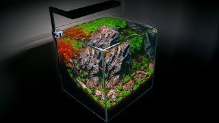 SETTING UP A SMALL AQUARIUM  NANO AQUASCAPE [upl. by Retnyw]