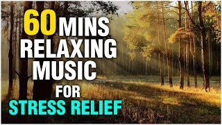 60 Minutes Relaxing Music For Stress Relief and Anxiety Music for Meditation Studying and Sleep [upl. by Rimas]