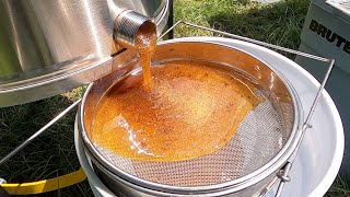 Harvesting BUCKETS of Honey 95 Pounds [upl. by Reema36]