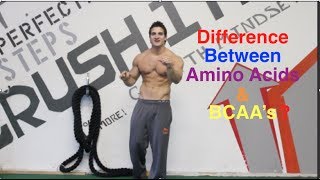 What is the Difference Between BCAAs amp Amino Acids And Are They Worth Taking [upl. by Amadus]