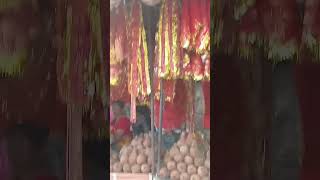 Navaratra vlog video shorts short devi maa matarani subscribe durgapuja devibhajan sumi [upl. by Settera]