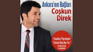 Tavukları Pişirmişem feat Sibel Pamuk Akşama Geleceğim [upl. by Ardnuassak]