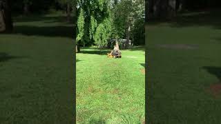 Cub Cadet RZT Zero Turn Mower 54quot Deck [upl. by Atinna]