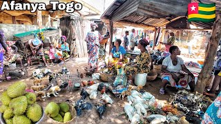 Rural village market day in Afanya Togo west Africa Cost of Living in my west African village [upl. by Kristo]