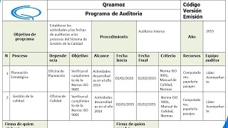 Programa de Auditoria  Guía completa [upl. by Narej234]