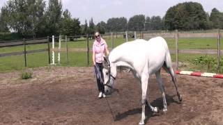 Oefening voor meer draagkracht in galop met als uiteindelijk doel een verzamelde galop [upl. by Wainwright]