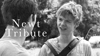 The Death Cure Newt Tribute [upl. by Aiki689]