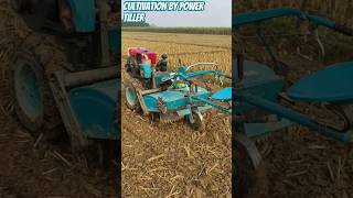 Cultivation by power tiller ytshort rana RanaDSFarmer cultivation farming agriculture shorts [upl. by Roley]