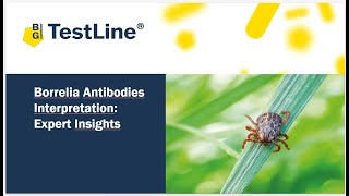 Borrelia Antibodies Interpretation Expert Insights [upl. by Now]